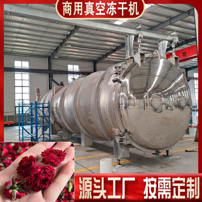 草莓冻干机50平米 FD真空冻干宠物食品大型机械 商用冻干流水线厂