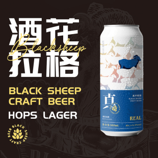 厦门黑羊真系列酒花拉格精酿啤酒500ml*6罐装
