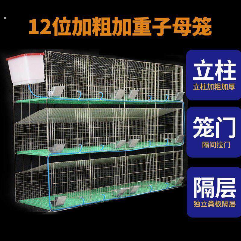 兔子笼自动清粪养殖场专用特大号兔笼子母笼兔笼兔笼子家用大号