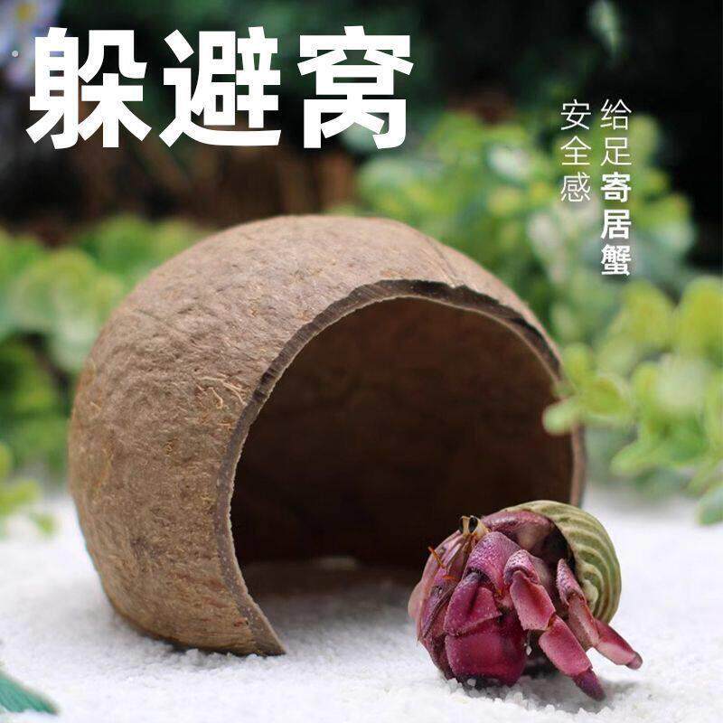寄居蟹躲避屋窝家小房子攀爬减压洞穴多尺寸可选大号小号造景