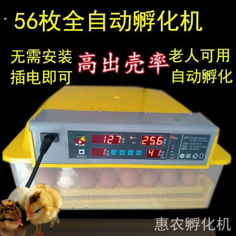 2021款抱鸡器浮鸡娃机器出化小鸡机子恒温孵化器乳小鸡机器电抱鸡