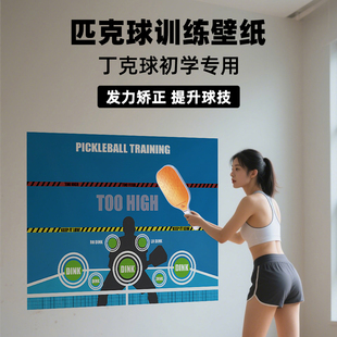 YEACHOSO匹克球训练专用墙纸pickleball新手练习训练器材墙靶贴纸