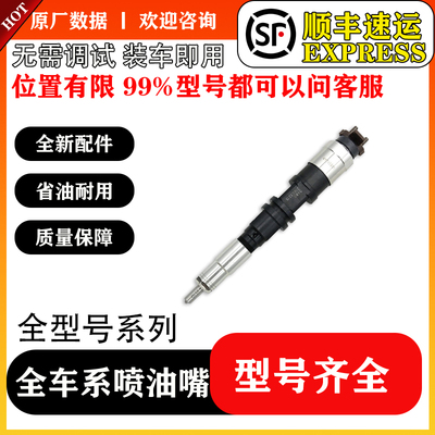 BS/095000-6460喷油器总成RE529150喷油器总成货源稳定耐用