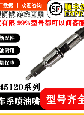 BS/0445120106共轨喷油器 00986AD1021喷油嘴总成 适用于东风雷诺