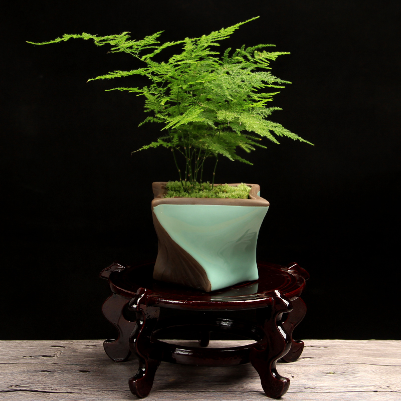 绿植盆栽花盆陶瓷玉翠之恋菱角创意花盆多肉植物禅意小佛托盘花盆