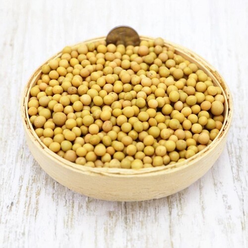 东北非转基因新货生发黄豆芽专用690极小粒黄豆纳豆小黄金豆
