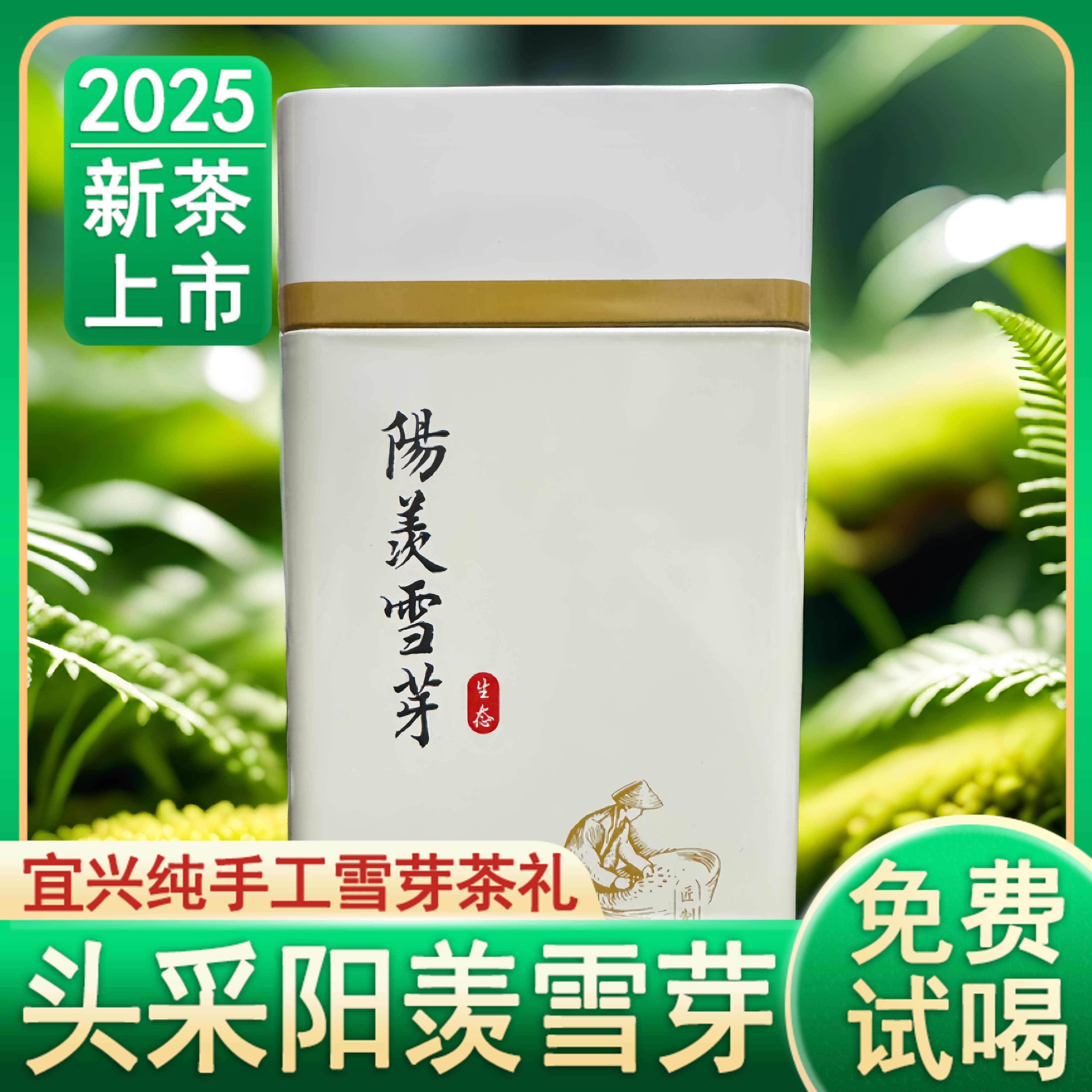 2026阳羡雪芽茶早春绿茶叶新茶明