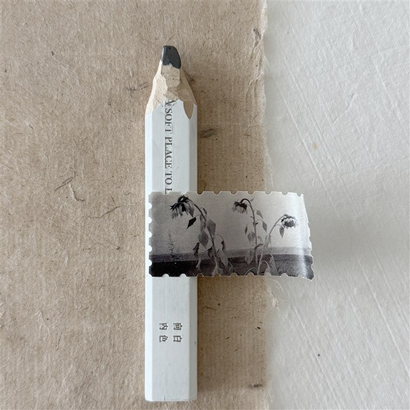 【梦中梦】邮票和纸胶带 8图循环  5米总长度O  单图50*25mm