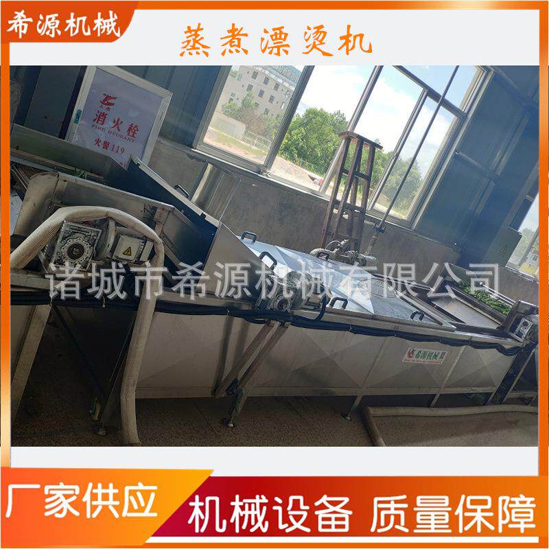 红薯土豆片漂烫流水线蒸汽加热芦笋金瓜蒸煮机杀青机厂家
