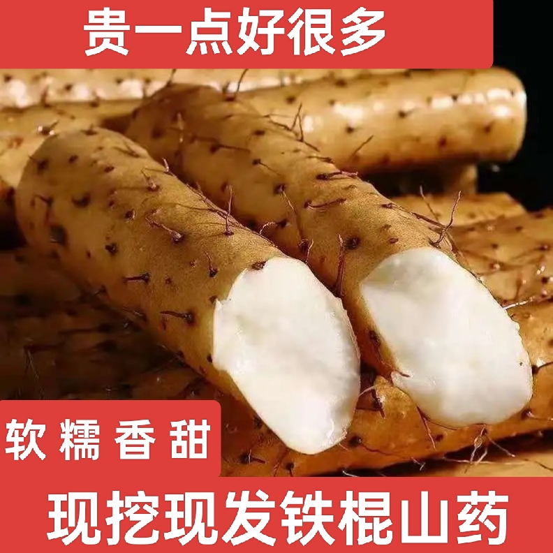 正宗河南焦作铁棍小白嘴怀山药新鲜现挖现发特级山药软糯香甜包邮