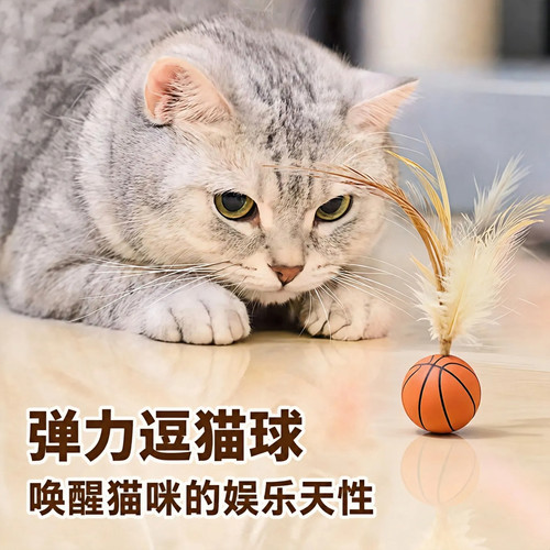 限时价！弹力自嗨逗猫羽毛球玩具