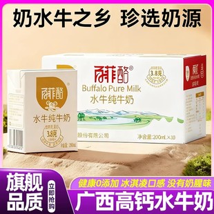 山姆达水牛奶百菲酪广西高钙儿童牛奶整箱成长早餐奶孕妇新鲜礼盒