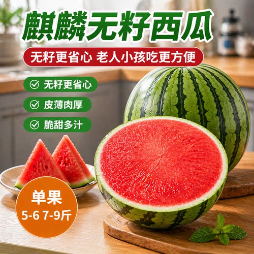 江苏8424麒麟西瓜当季现摘新鲜无籽甜西瓜沙瓤薄皮手撕瓜