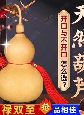 天然葫芦挂件门对门带龙头开口木葫芦玄关客厅招财文玩手把件