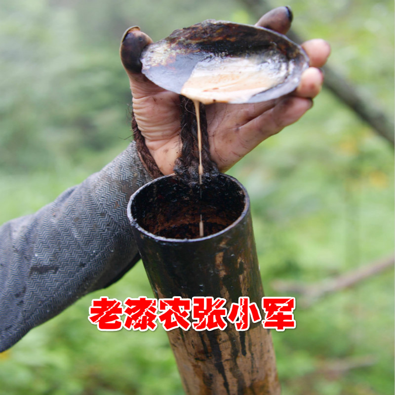 四川天然生漆 漆天然漆土漆国漆漆采自龙门脉优质漆