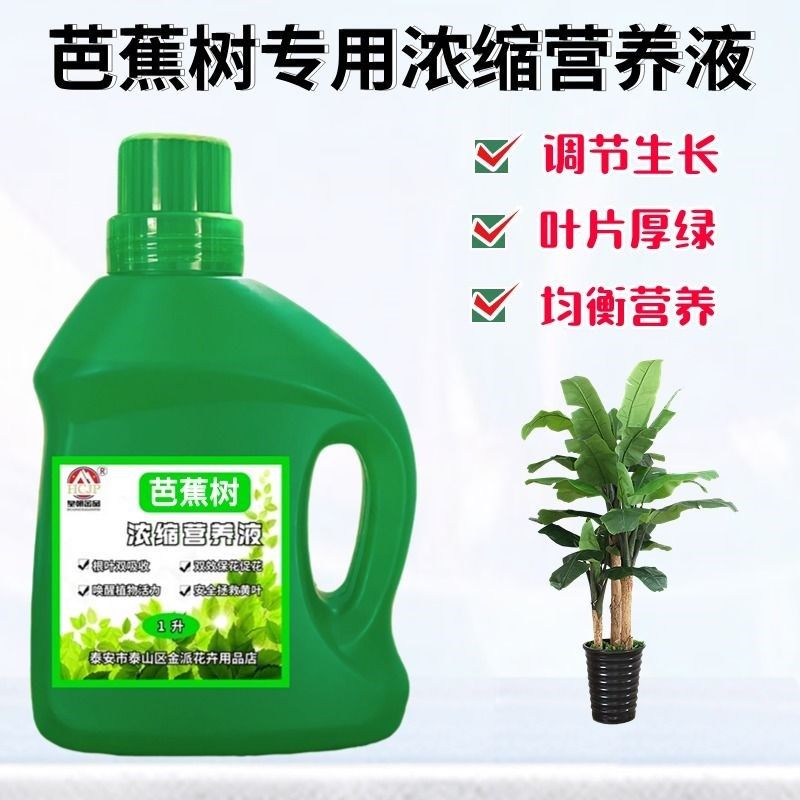 芭蕉树苗浓缩营养液盆栽地栽绿植物通用氮磷钾液体养花卉肥