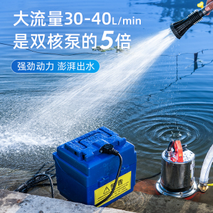 潜水泵家用抽水浇菜12v24v大功率花园便携式 充电式 户外抽水泵