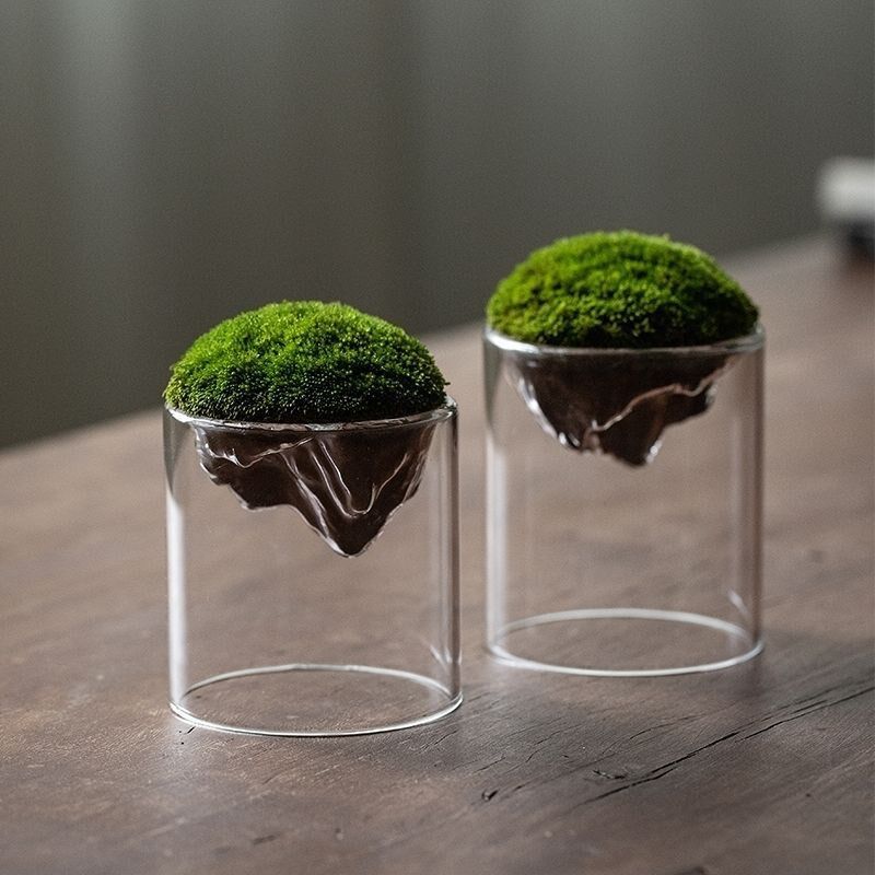 喷水就活苔藓微景观生态瓶青苔小盆栽diy微型桌面植物办公室绿植