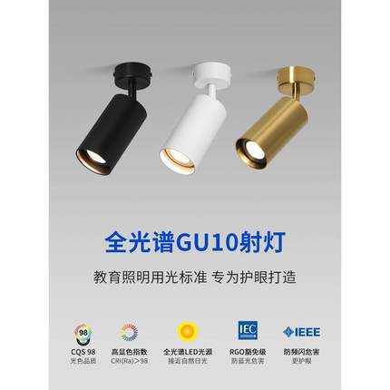 Led表面安装的射灯可调角度单一家庭客厅背景墙天花板安装的射灯