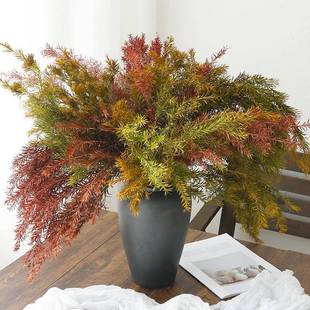 千层金永生干花花束客厅摆设天然风干高级感真花植物插花装饰摆件