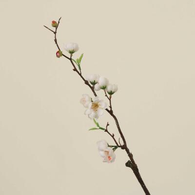 闲庭絮折枝盼折柳舞蹈花枝道具桃之夭夭灼灼其华舞蹈仿真梅花桃花