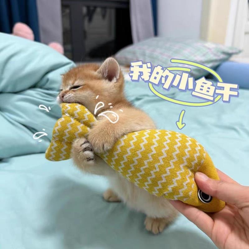 猫玩具耐咬磨牙波浪鱼逗猫棒自嗨解闷神器小猫幼猫互动猫咪用品