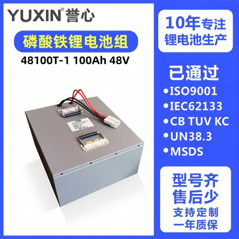 磷酸铁锂电池48V100AH储能电池房车基站照明电动船模电池组电源