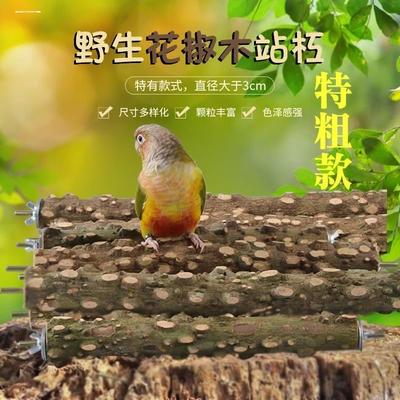 天然野生花椒木鹩哥八哥画眉鹦鹉鸟站棍站杆磨爪棍杠棍栖杠