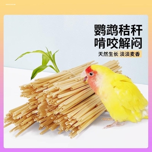鹦鹉天然麦秆啃咬玩具麦秸秆磨牙磨爪解闷自嗨训练插尾巴自嗨牡丹
