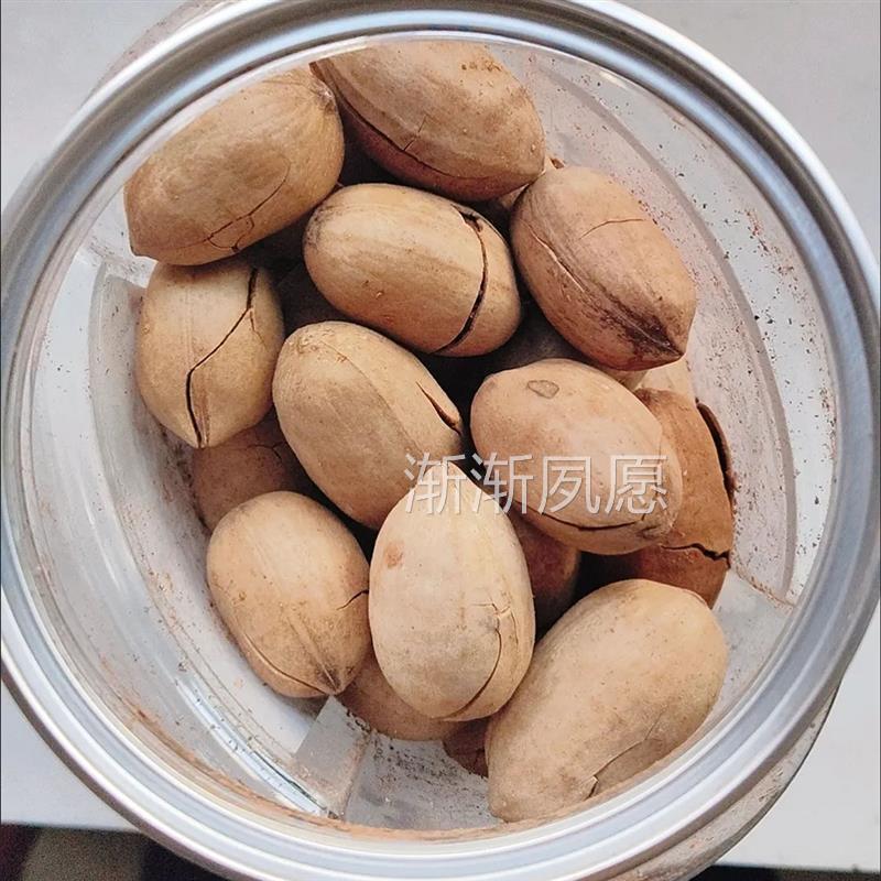 根果果502g/LLQ罐油装干碧果坚仁奶味山核桃长寿果休闲小零食