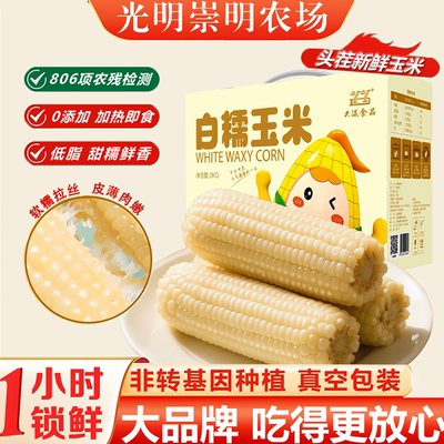 光明专注玉米20年有追溯码可查