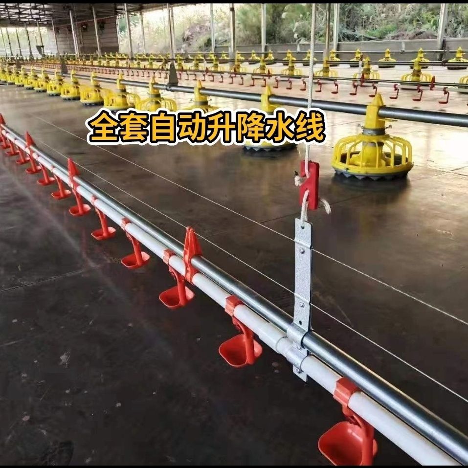 新款养鸡自动水线设备全