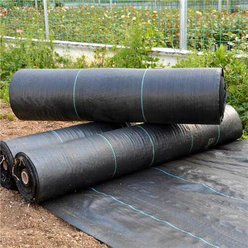 70克90克PP防草布除草布园艺地布地钉地膜抗老化果园盖草抑草布
