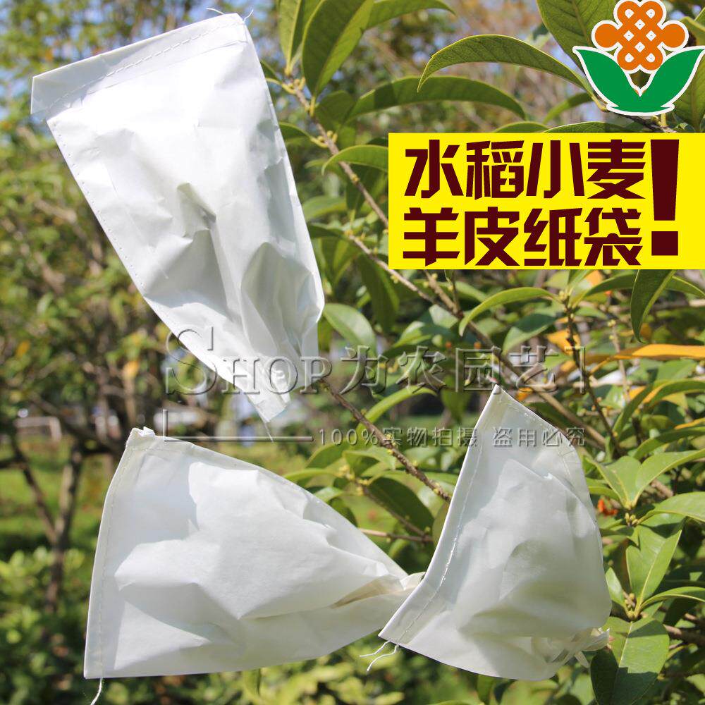 小麦玉米杂交袋子硫酸纸授粉隔离套育种套袋套袋羊皮纸袋缝制粘制
