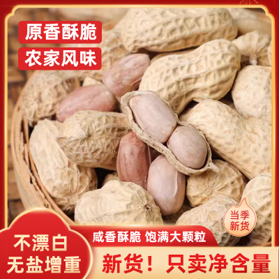 福建龙岩水煮花生白晒原味盐咸干花生蒜香花生带壳炒货坚果香酥
