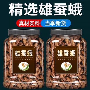 雄蚕蛾中药材正品散装干蚕蛾公正宗泡酒料非蚕蛾粉野生雄蚕蛾新货