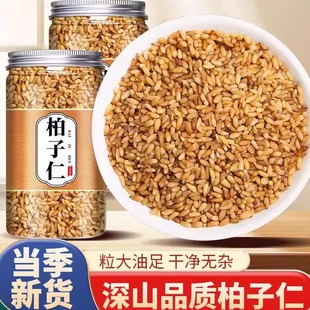 柏子仁中药材非特级柏白子仁柏子仁新货去壳的功效