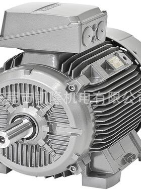 LAMMERS高效节能电机 交流伺服电机 MERKES电机