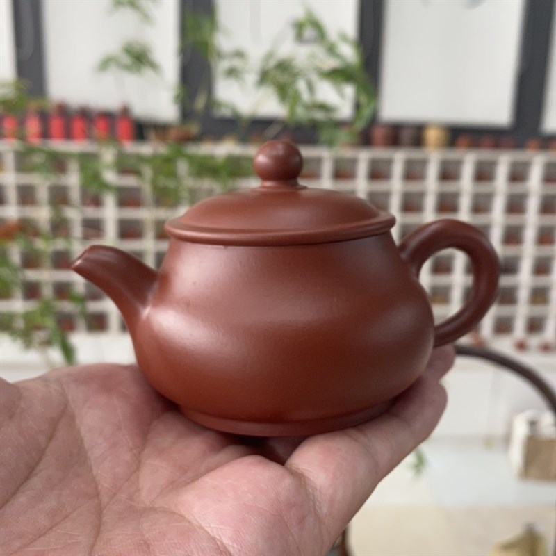 潮州手拉壶朱泥功夫m茶壶原矿小壶小号冲罐明炉壶潮州工夫具单丛