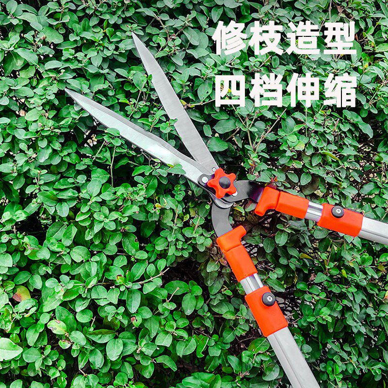 园艺剪刀剪树枝专用修剪树枝粗修花绿化绿篱园艺剪园Y林大修枝剪