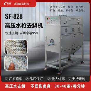 商用高压水枪去鱼鳞机黑鱼草鱼脱鳞机去鳞设备不伤鱼皮水产设备
