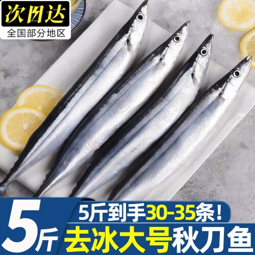新鲜冷冻深海大号秋刀鱼烧烤