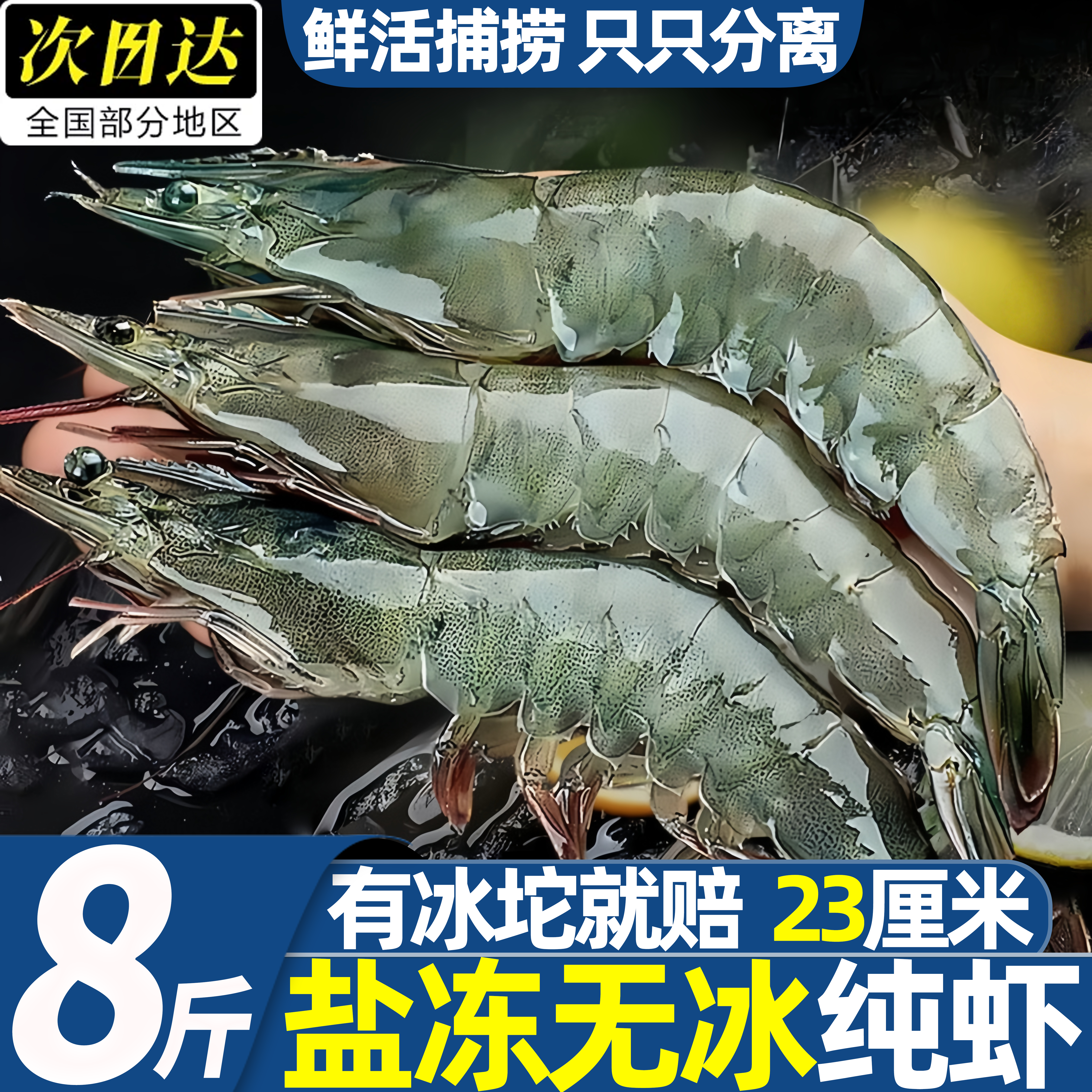 特大盐冻无冰对虾海鲜