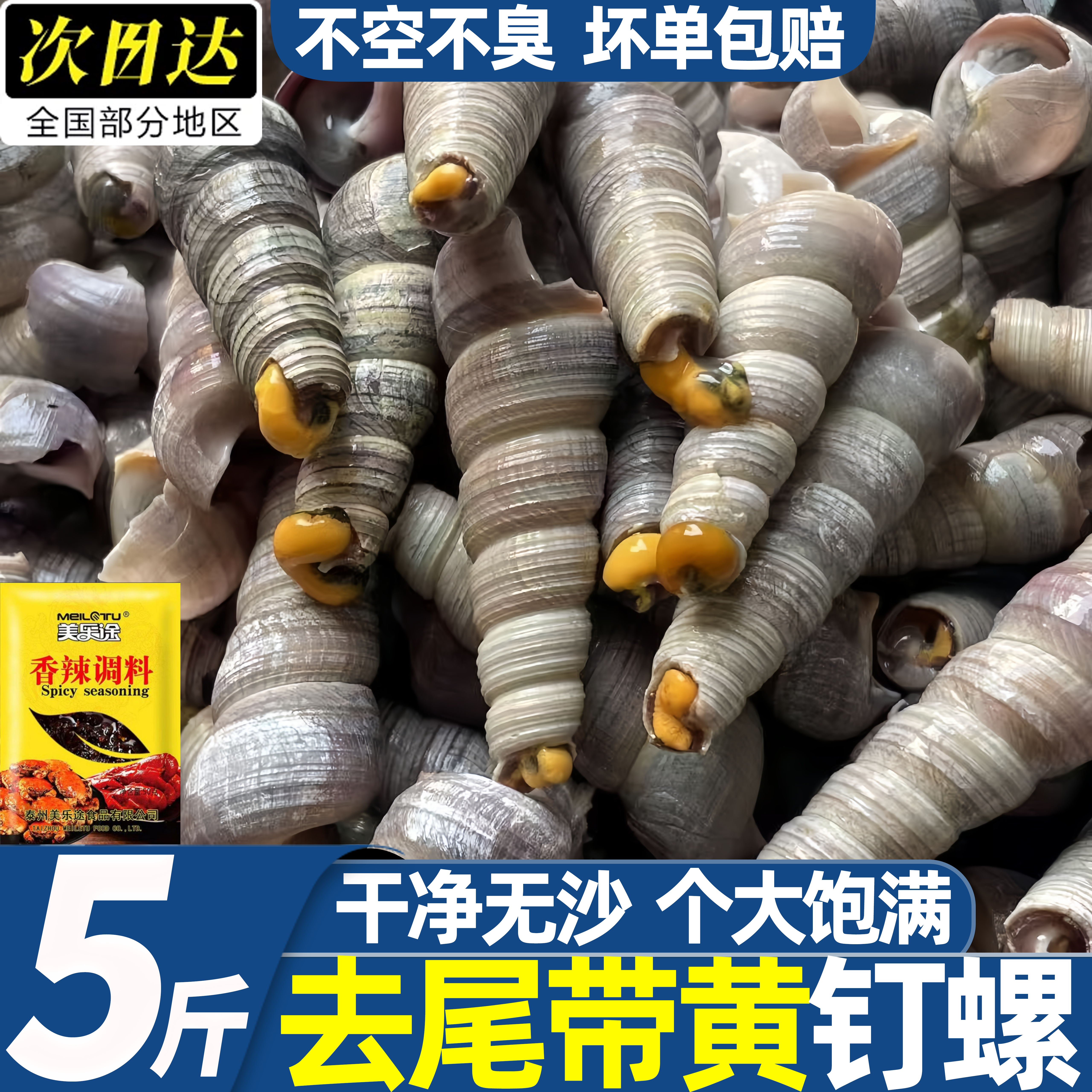 去尾带黄钉螺鲜活整箱批发