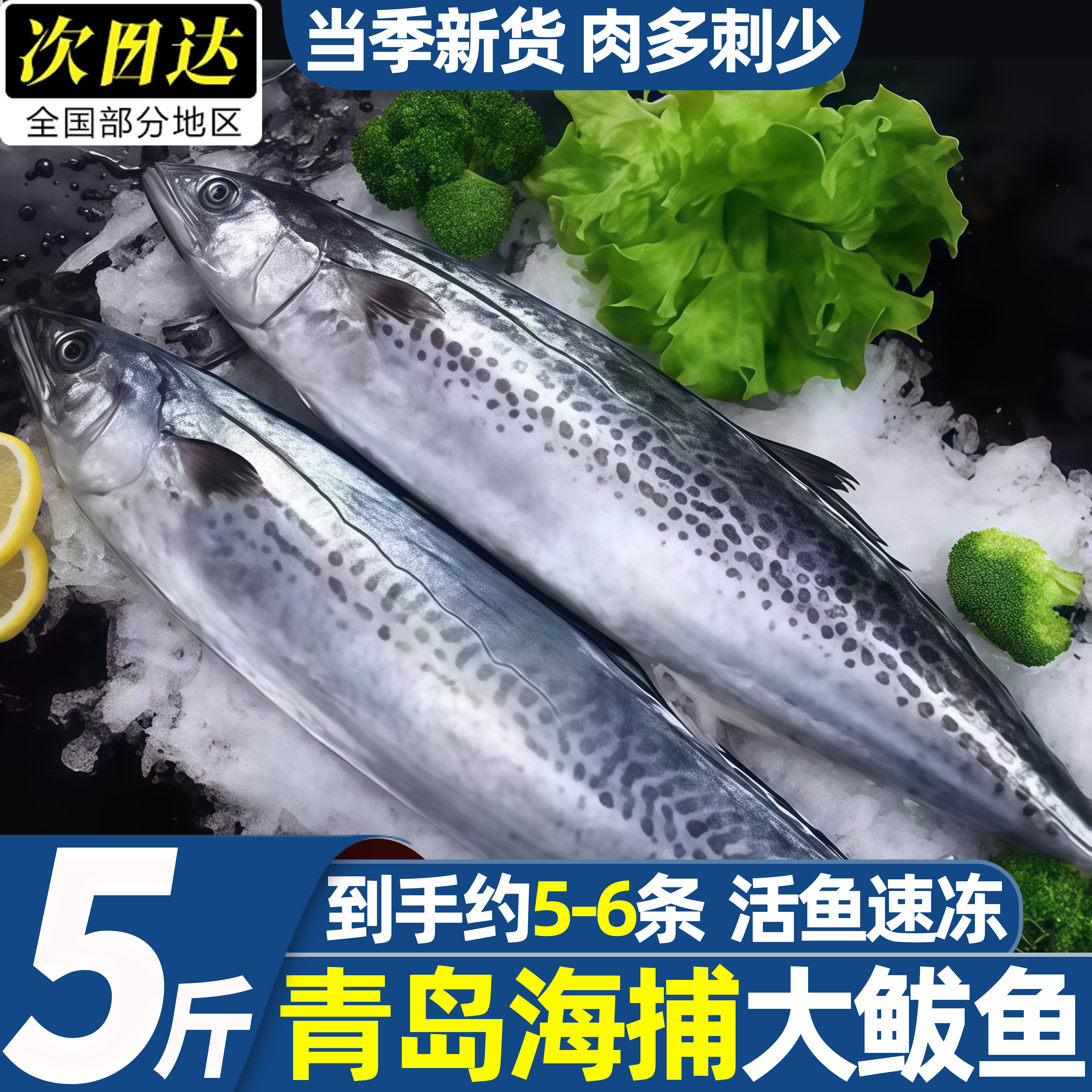 燕鲅鱼新鲜海捕冷冻海鲜水产批发
