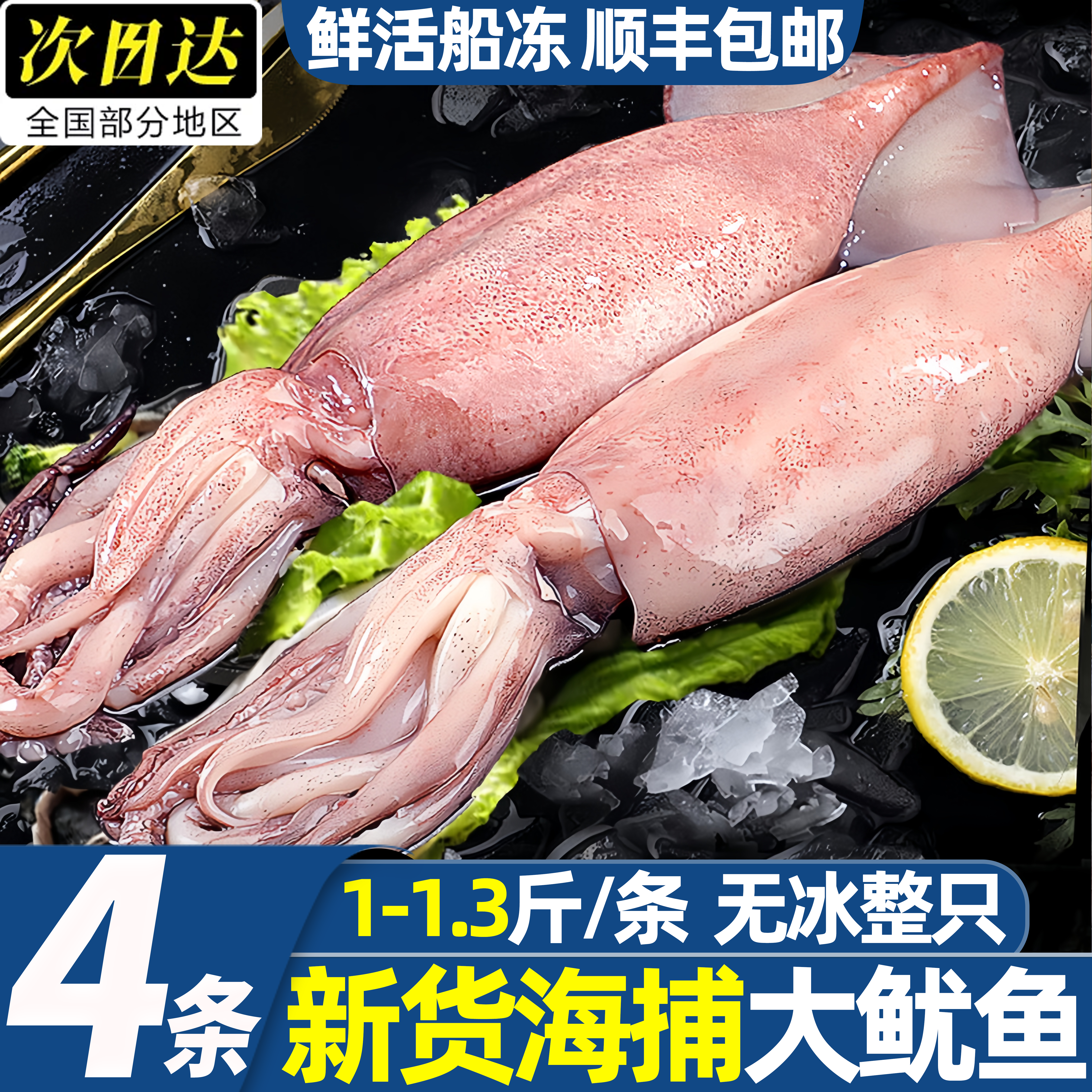 冷冻整只鱿鱼生鲜批发