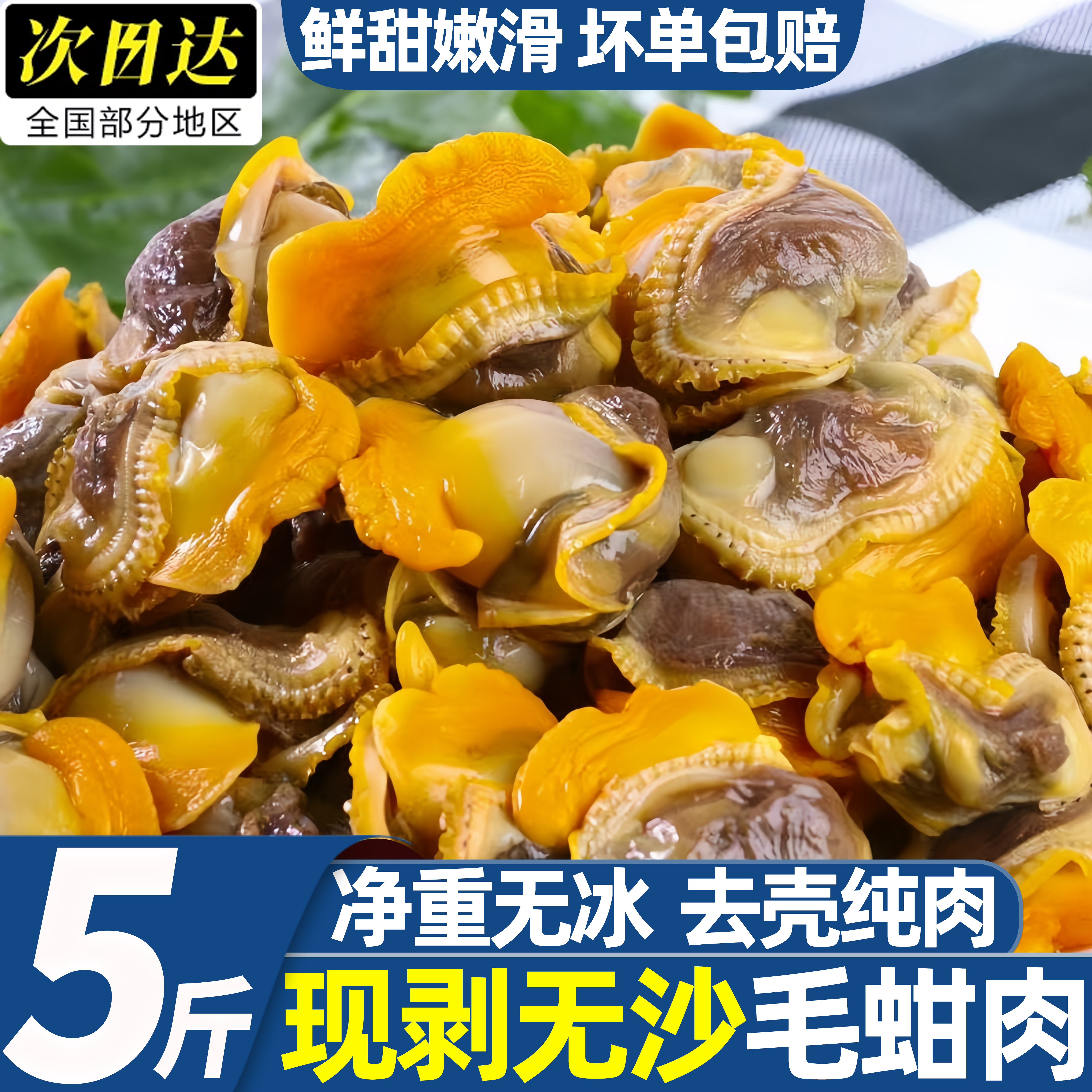 冷冻毛蛤蜊赤贝凉拌肉商用批发