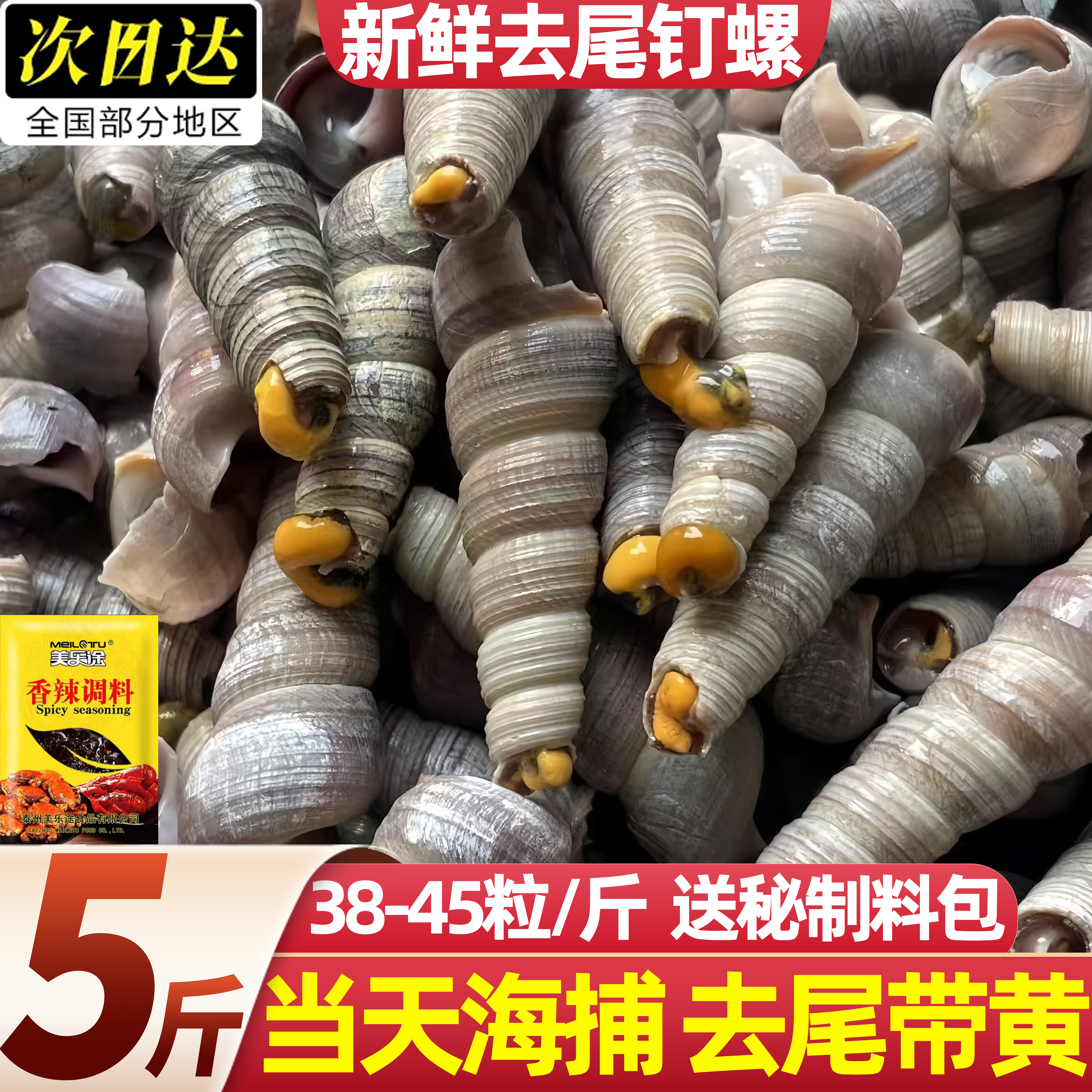 去尾带黄钉螺鲜活整箱批发