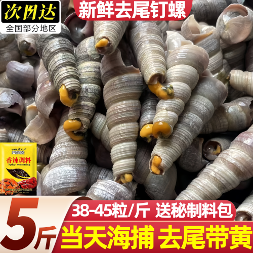 去尾带黄钉螺鲜活整箱批发