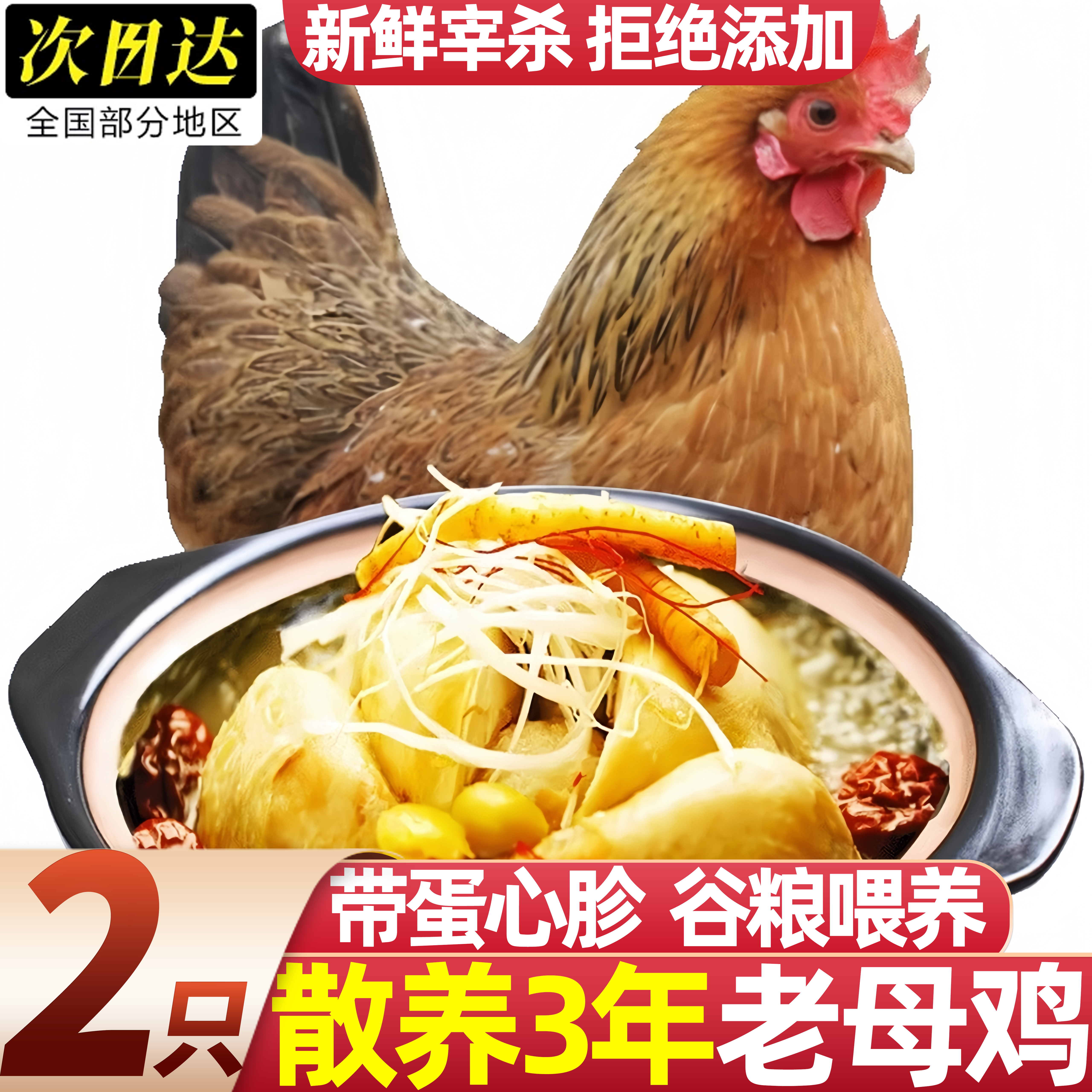 老母鸡农家散养新鲜现杀生鲜